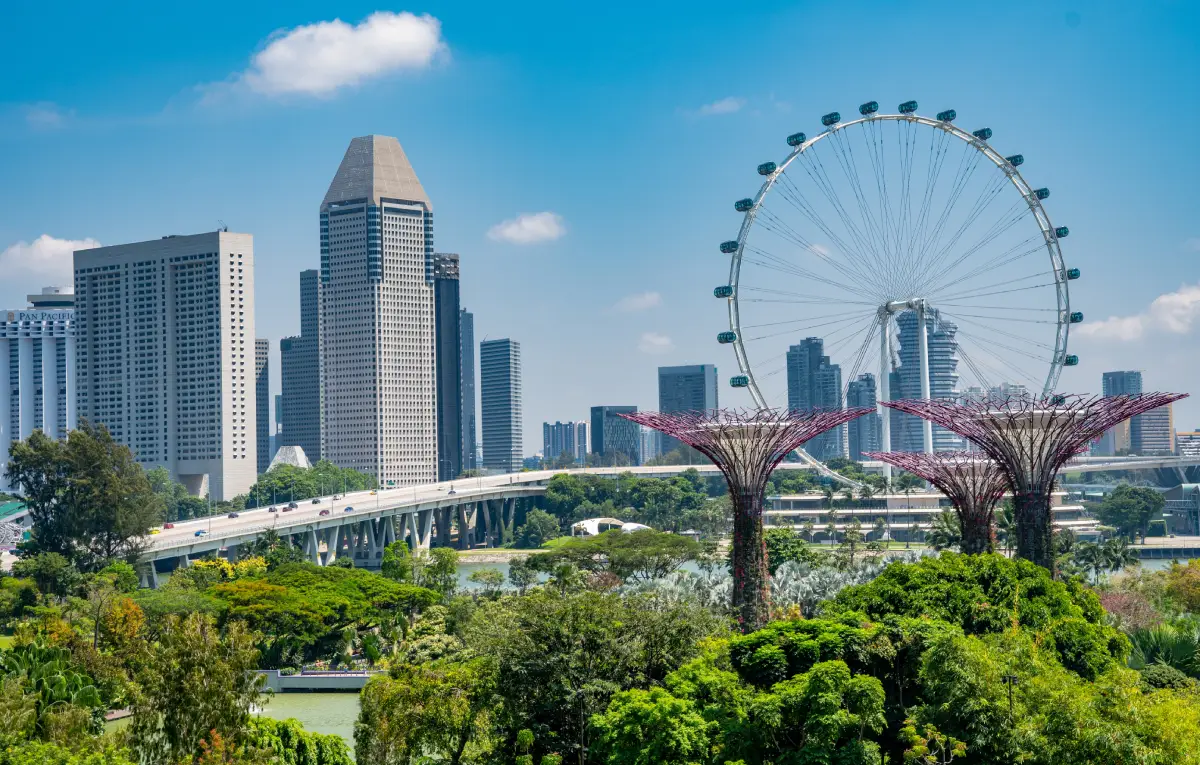 About Skyfare Travel